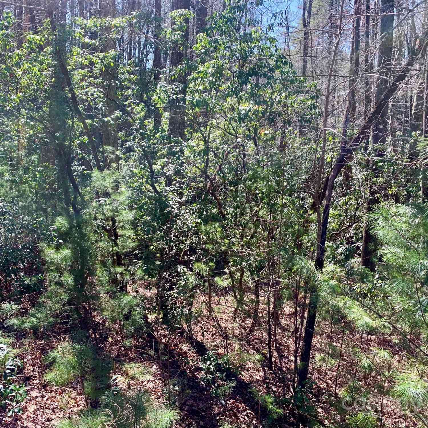 22 Double Creek Road #LOT 22  25, Brevard, North Carolina image 3