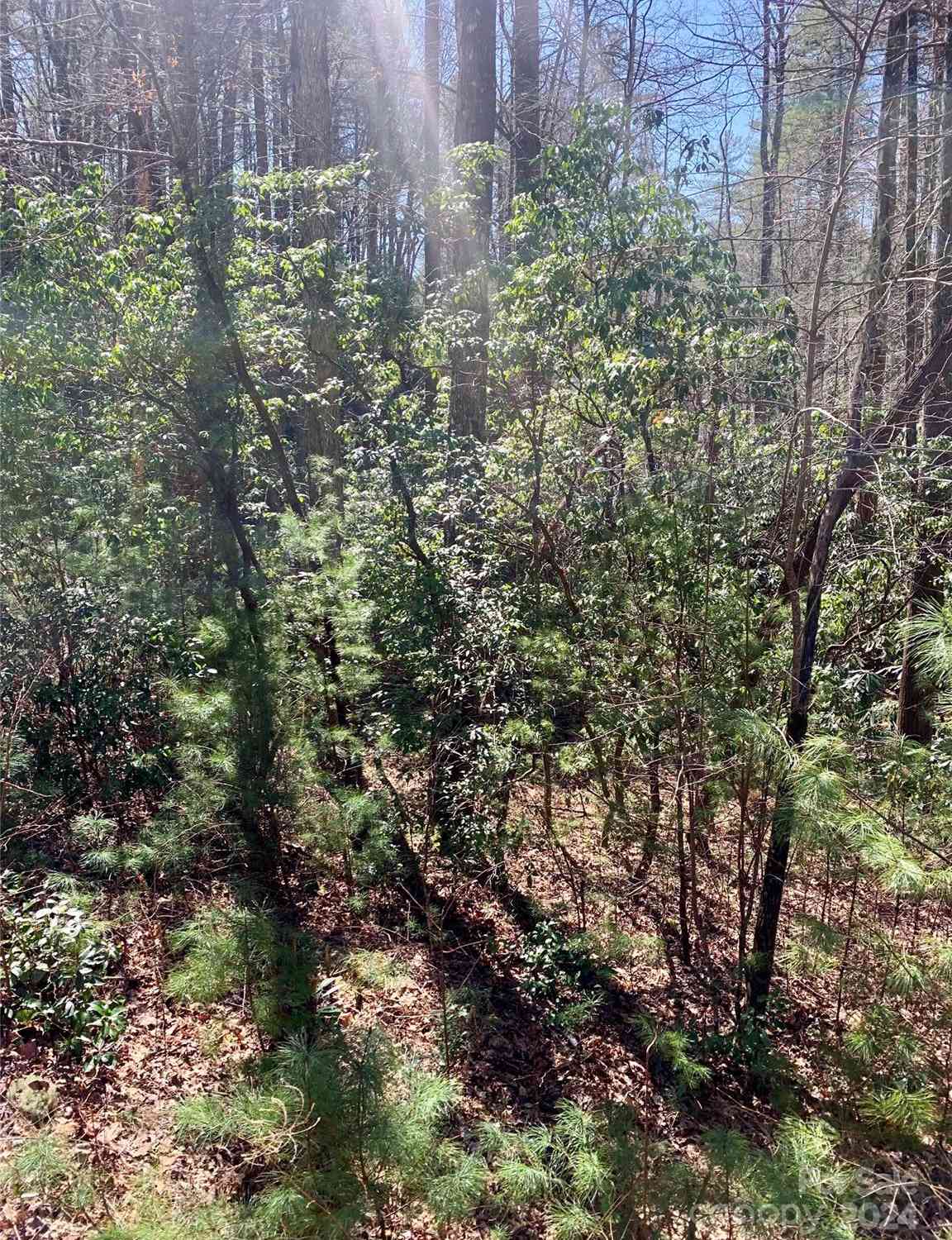 22 Double Creek Road #LOT 22  25, Brevard, North Carolina image 4