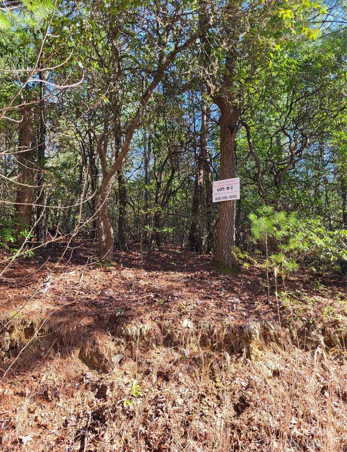 Lot D2 000 Dogwood Lane, Penrose, North Carolina image 7