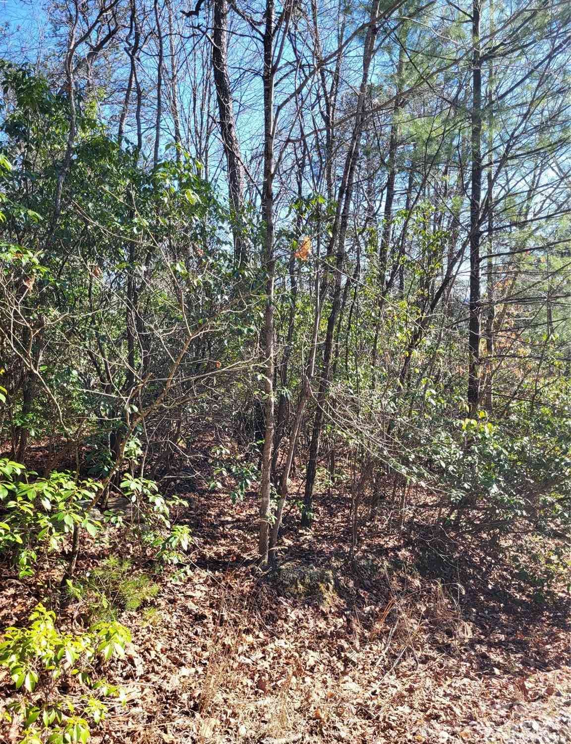 Lot D1 000 Dogwood Lane, Penrose, North Carolina image 7