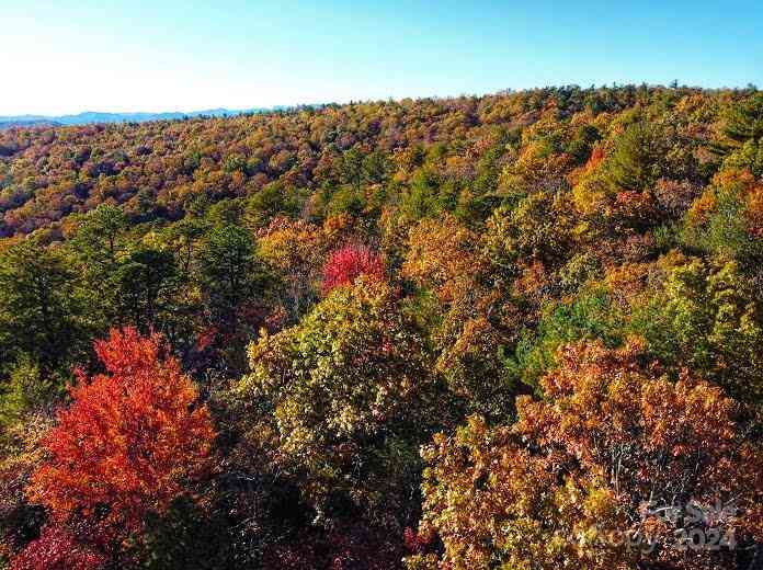 Lot D1 000 Dogwood Lane, Penrose, North Carolina image 1