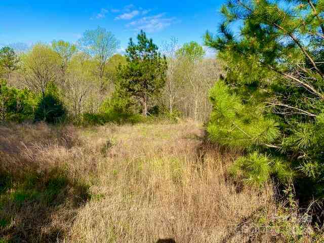2225 Mount Gallant Road, Rock Hill, South Carolina image 2
