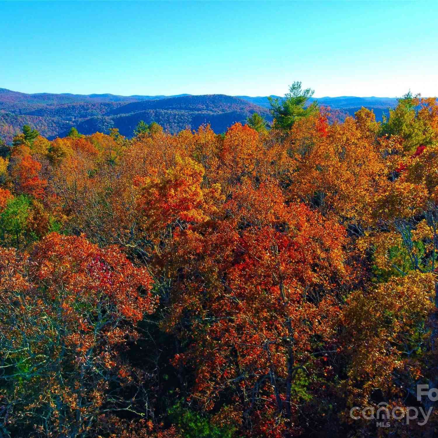 Lot D1 And D2 000 Dogwood Lane, Penrose, North Carolina image 1