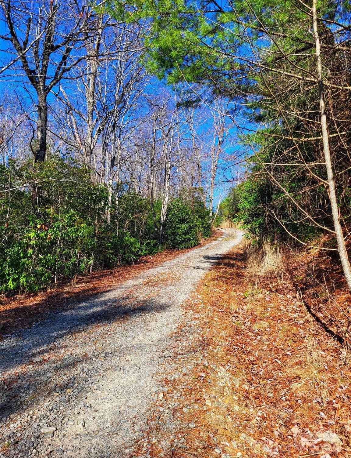 Lot D1 And D2 000 Dogwood Lane, Penrose, North Carolina image 6