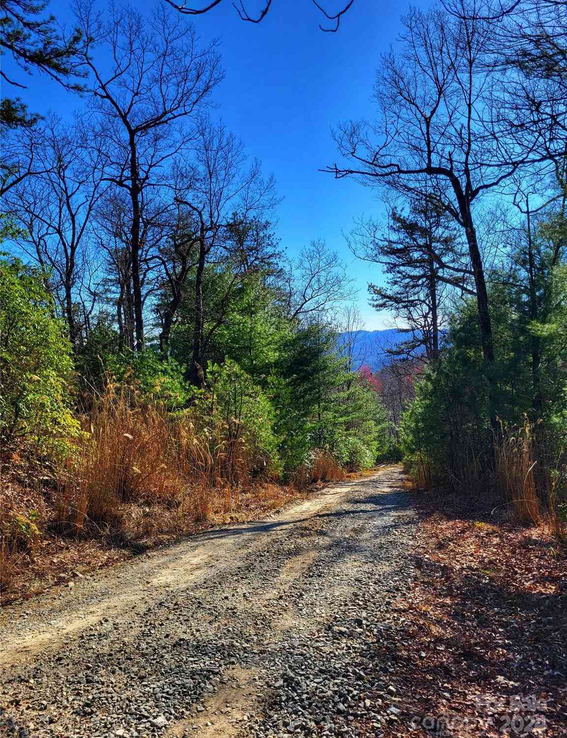 Lot D1 And D2 000 Dogwood Lane, Penrose, North Carolina image 3