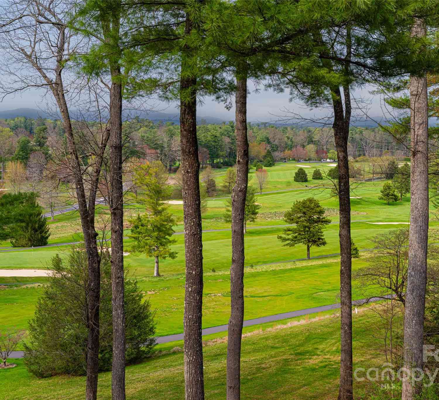 205 Pineholt Lane, Flat Rock, North Carolina image 3