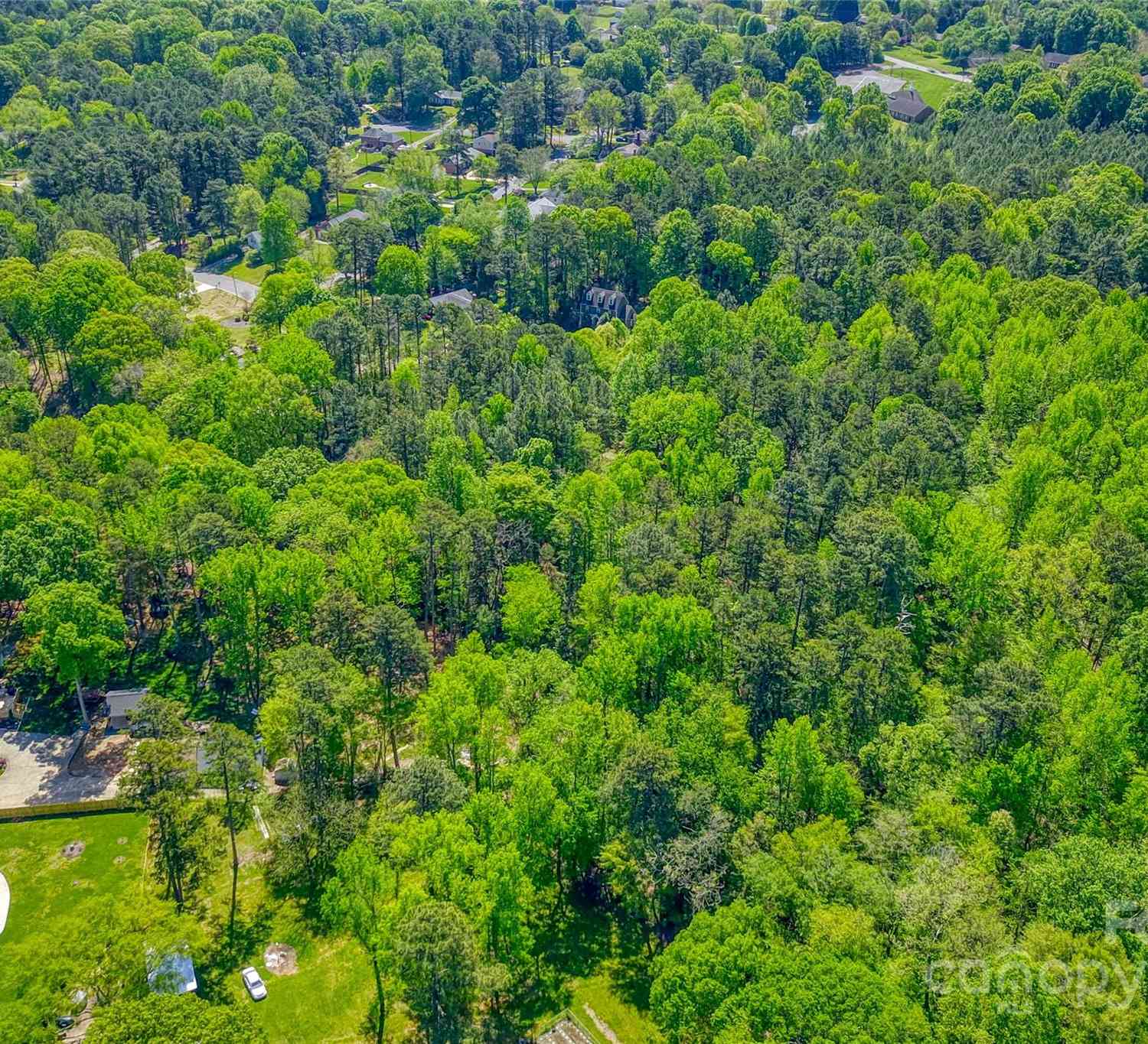 00 Lake Bluff Drive, Mint Hill, North Carolina image 9