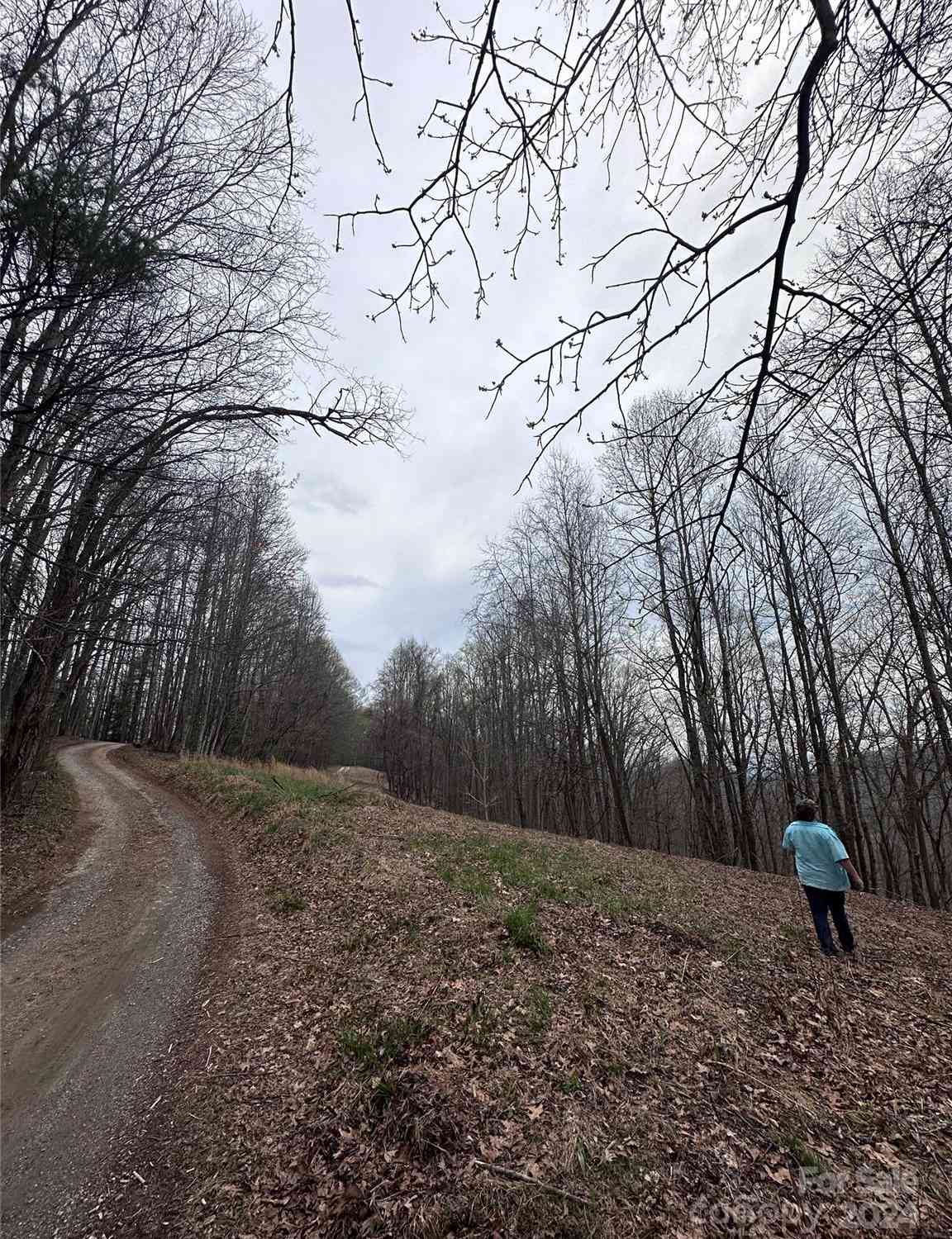 0000 Anderson Cove Road, Marshall, North Carolina image 10