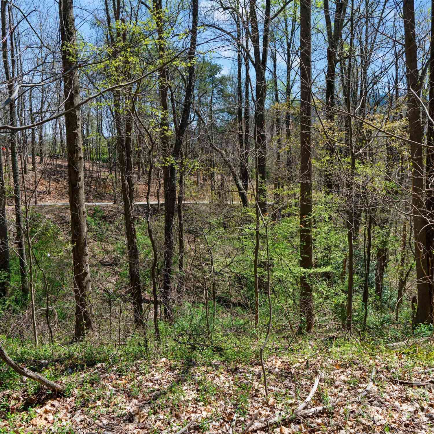 00 Lovebird Lane #LOT 5  16, Candler, North Carolina image 7