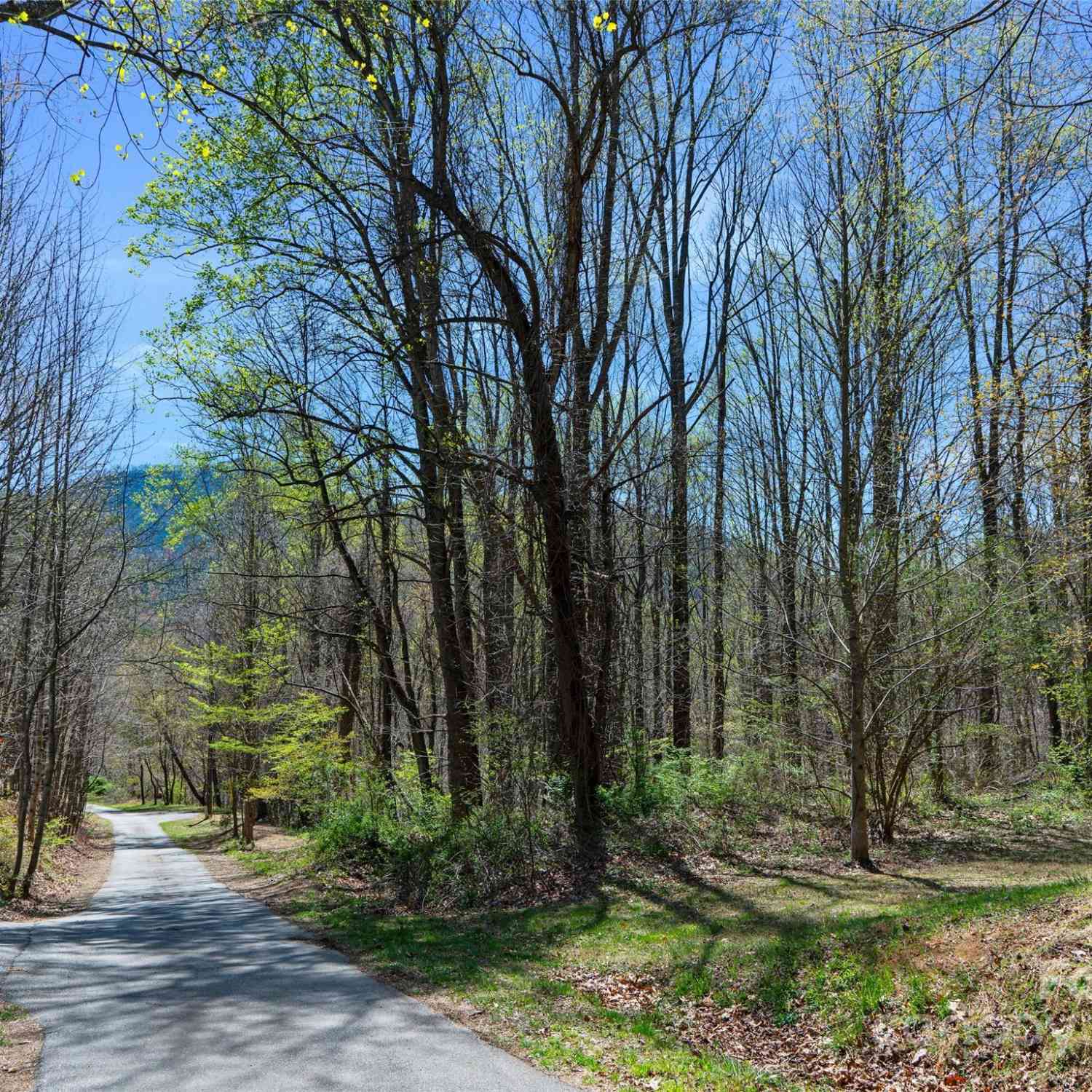 00 Lovebird Lane #LOT 5  16, Candler, North Carolina image 2