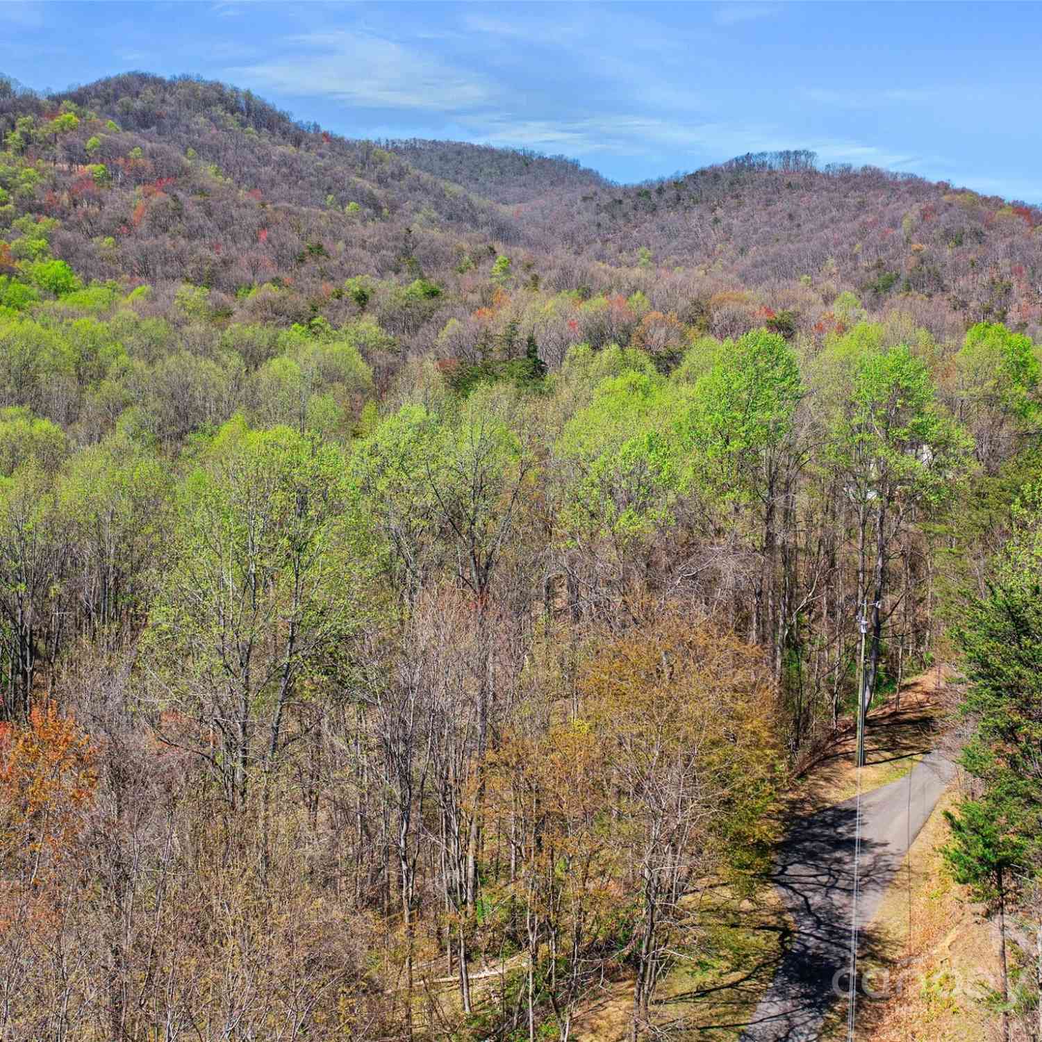 00 Lovebird Lane #LOT 5  16, Candler, North Carolina image 19