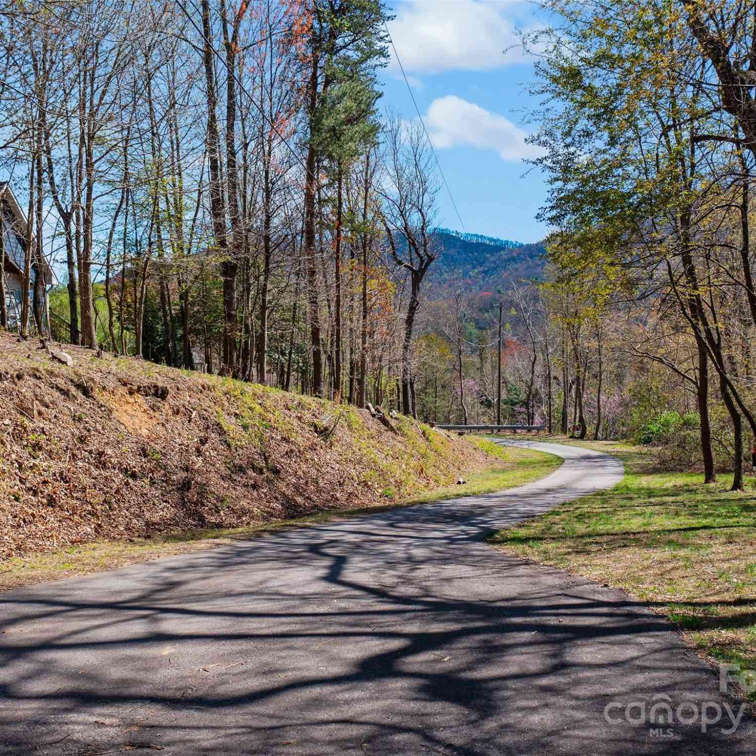 00 Lovebird Lane #LOT 5  16, Candler, North Carolina image 27