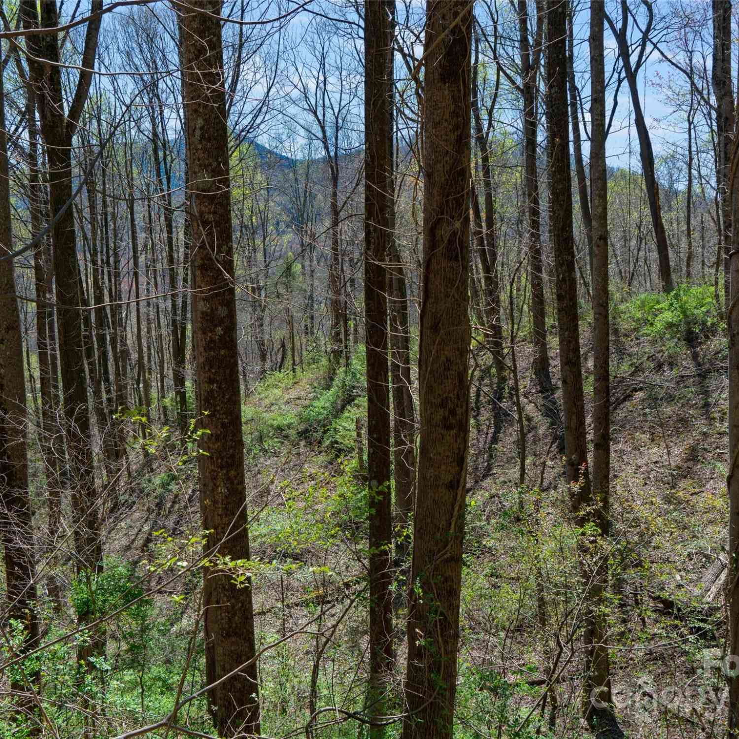 00 Lovebird Lane #LOT 5  16, Candler, North Carolina image 10