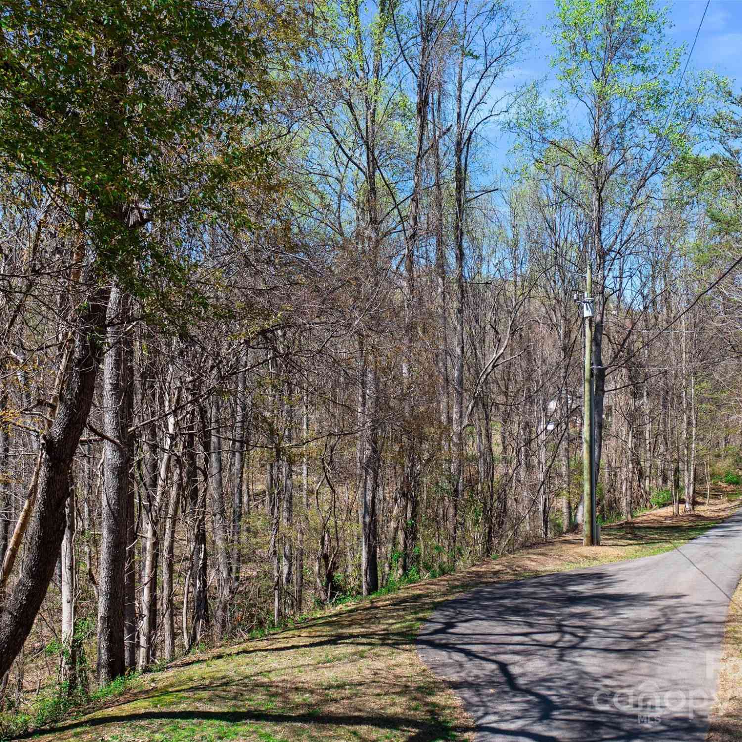 00 Lovebird Lane #LOT 5  16, Candler, North Carolina image 3