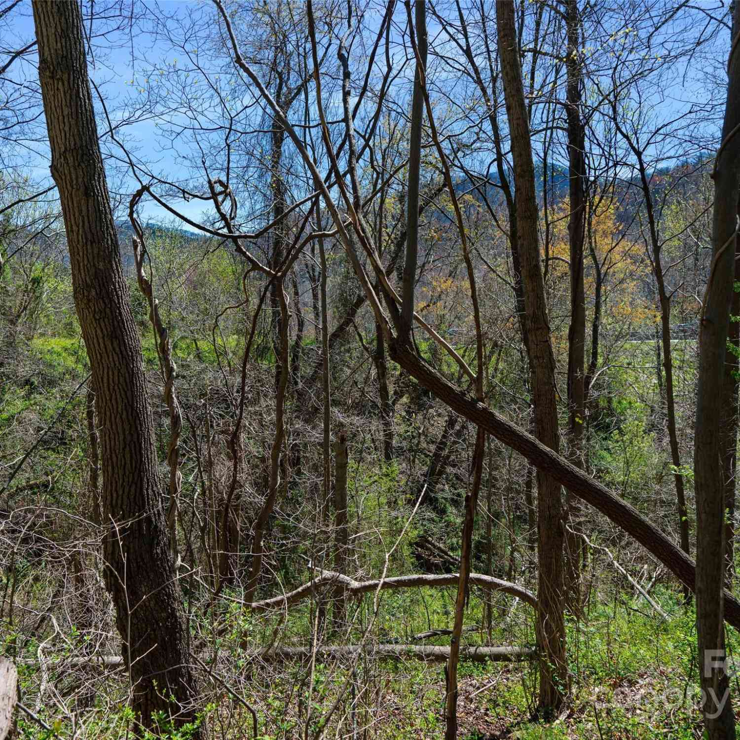 00 Lovebird Lane #LOT 5  16, Candler, North Carolina image 15