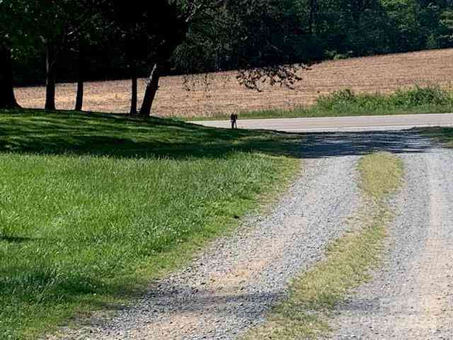 3819 E Highway 218 Road, Monroe, North Carolina image 5
