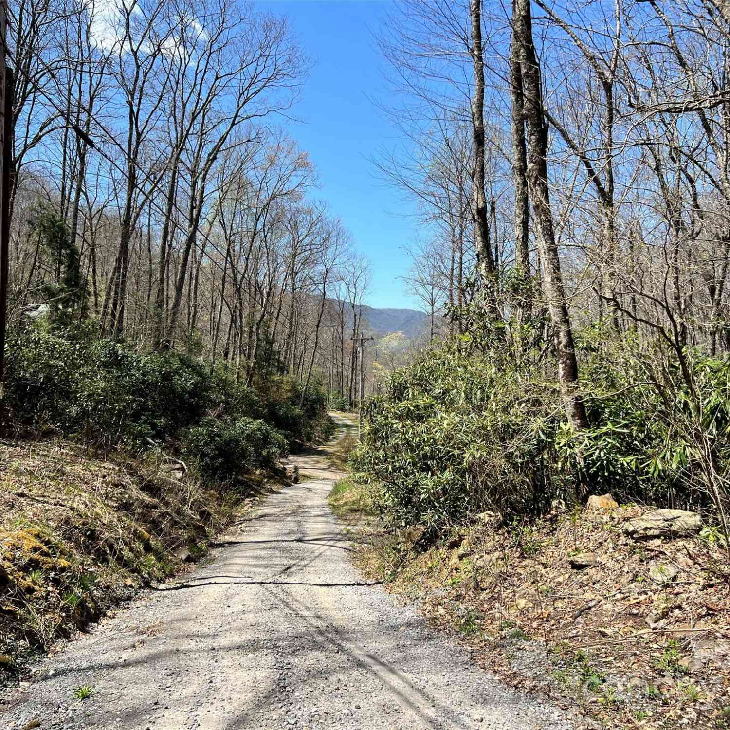 000 Pisgah Mountain Road, Canton, North Carolina image 7