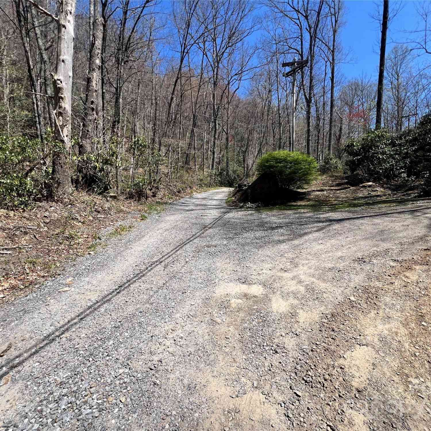 000 Pisgah Mountain Road, Canton, North Carolina image 8