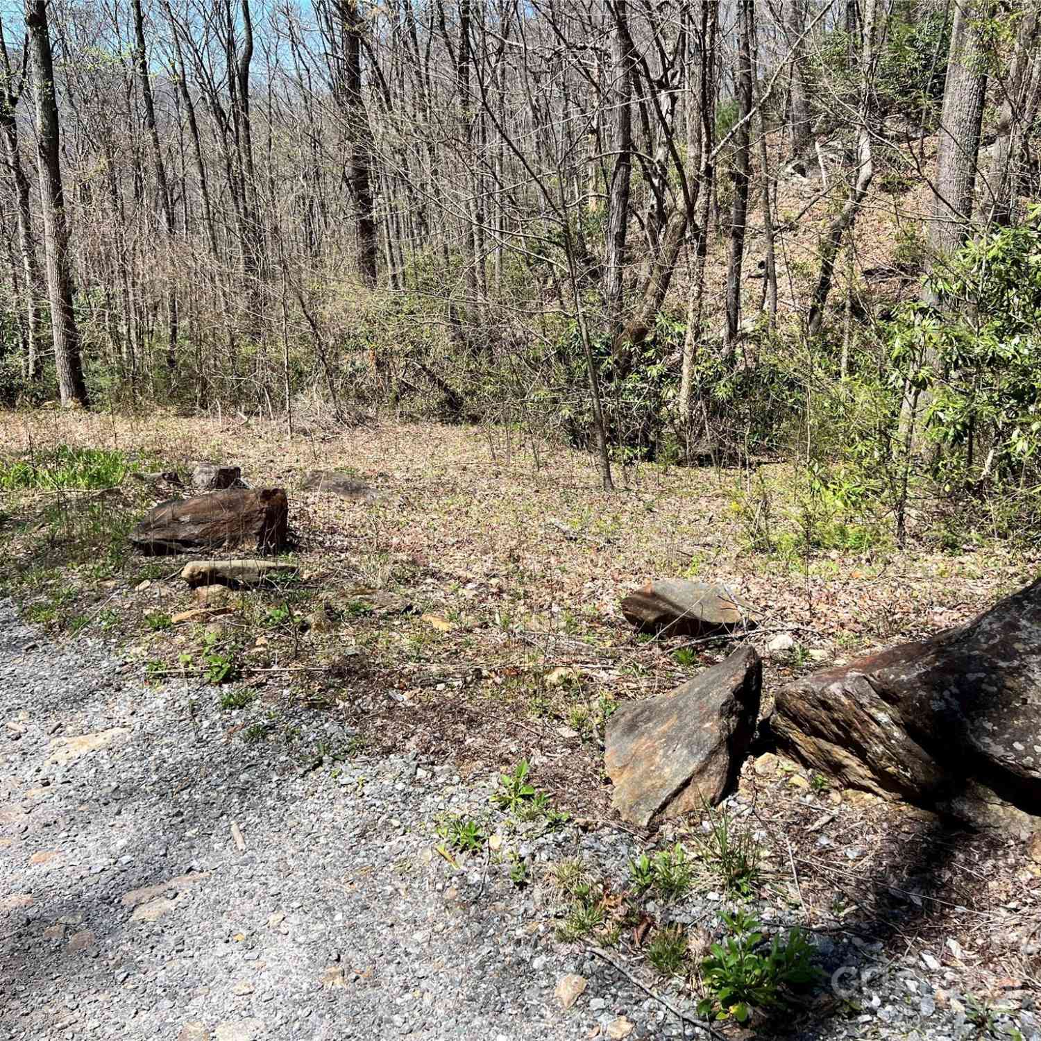 000 Pisgah Mountain Road, Canton, North Carolina image 3