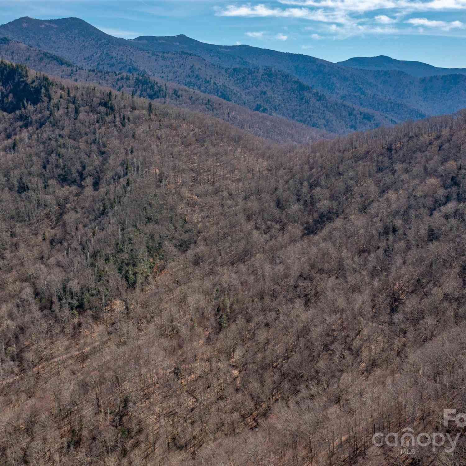 00 Deep Gap Road, Burnsville, North Carolina image 4