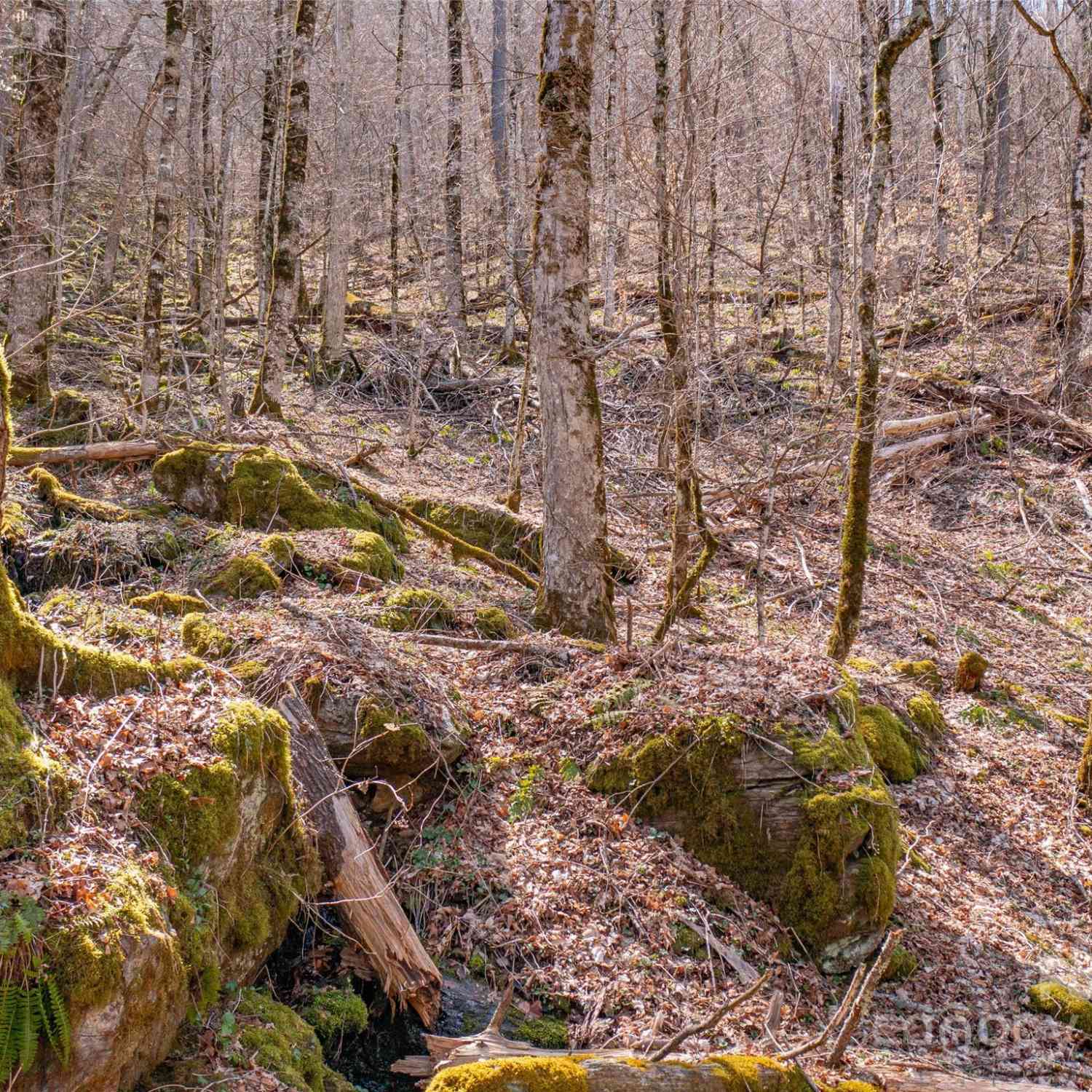 00 Deep Gap Road, Burnsville, North Carolina image 8