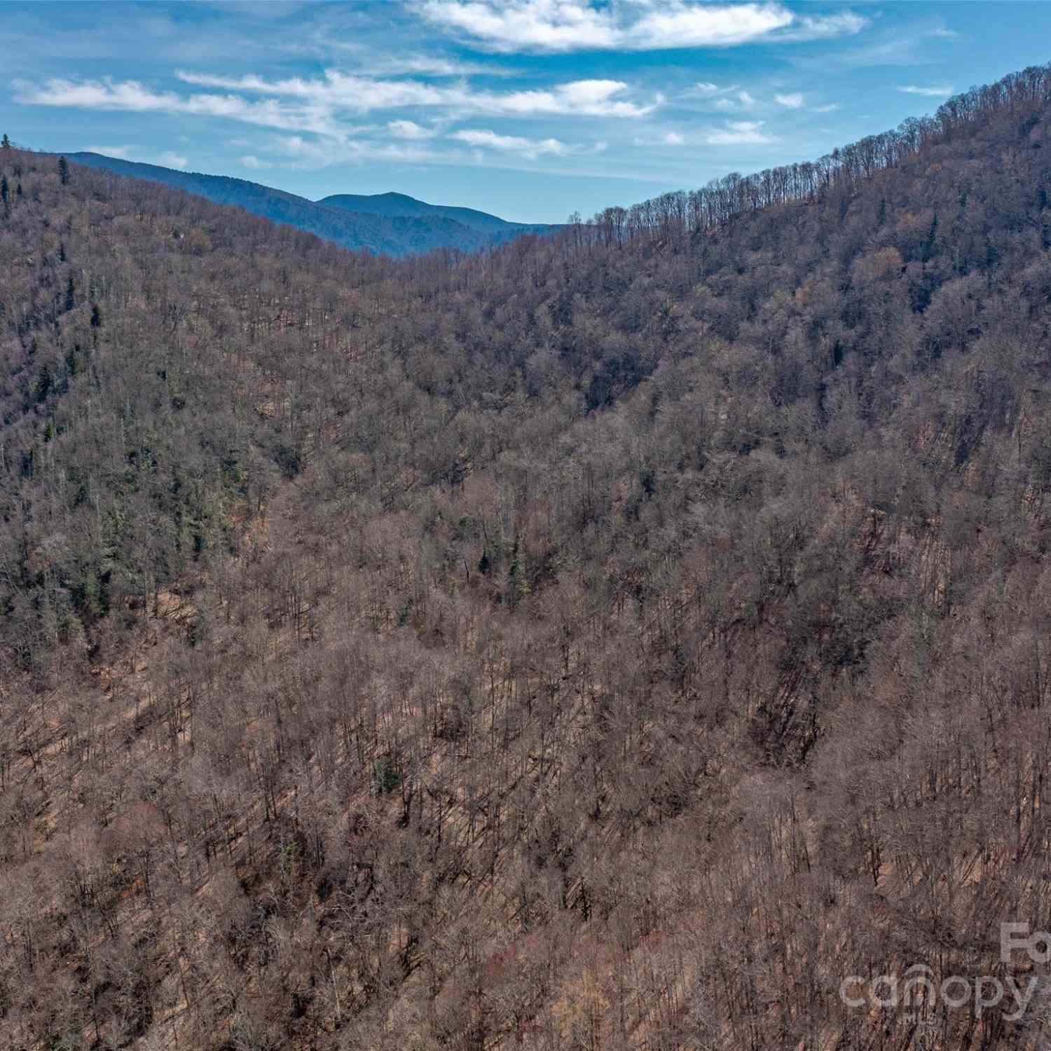 00 Deep Gap Road, Burnsville, North Carolina image 12