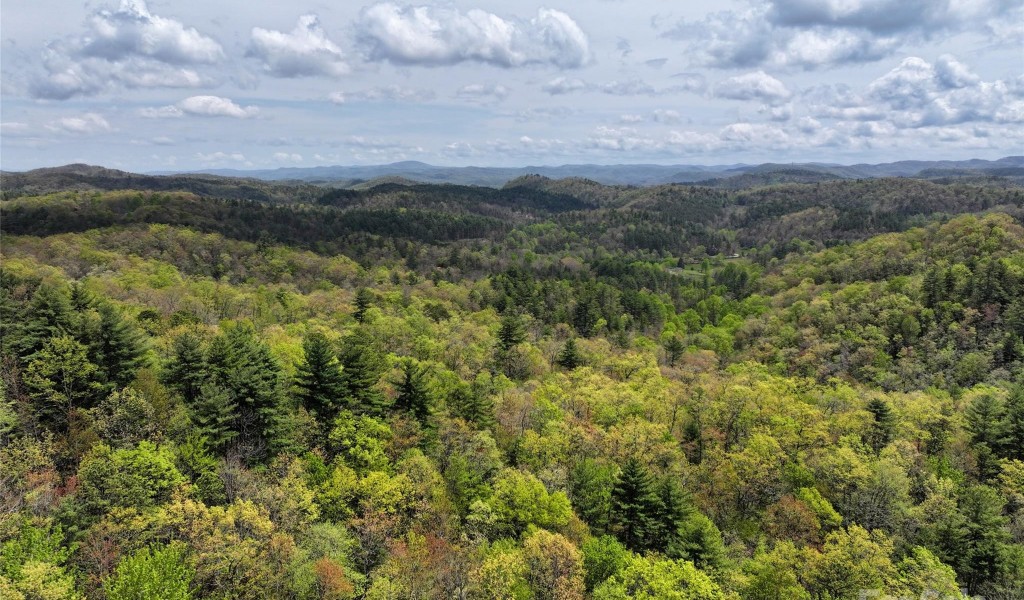 5100 Homer Mccall Road, Lake Toxaway, North Carolina image 1