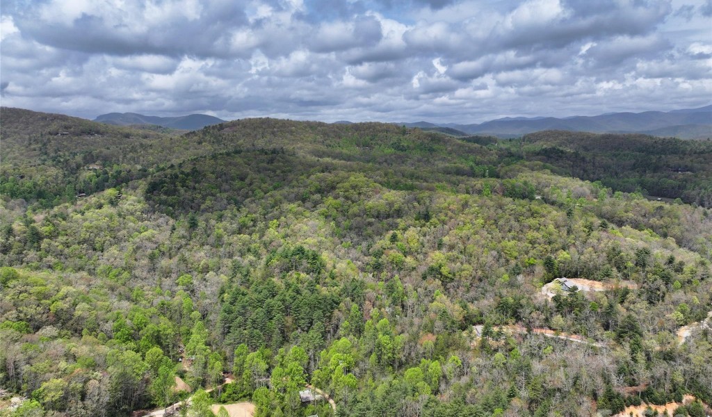 5100 Homer Mccall Road, Lake Toxaway, North Carolina image 7