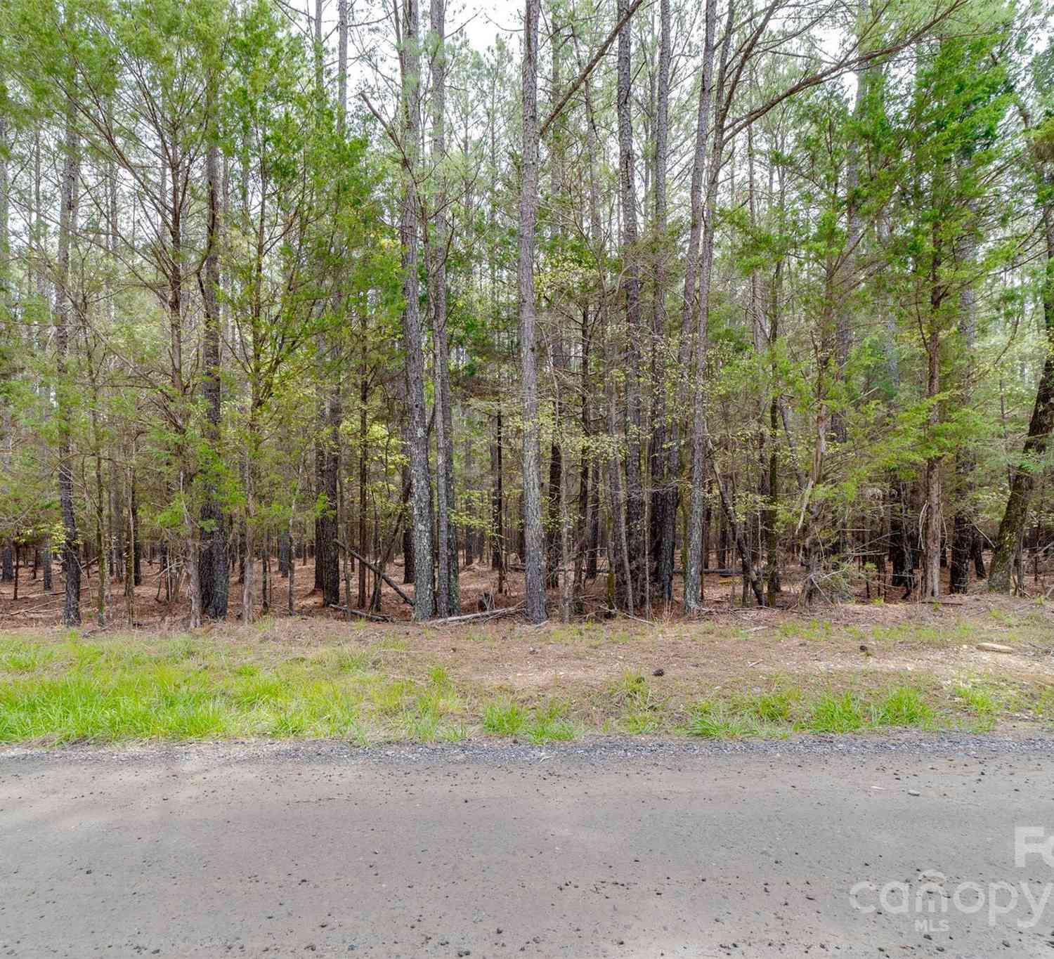 TBD Sandlapper Drive #C, New York, South Carolina image 1