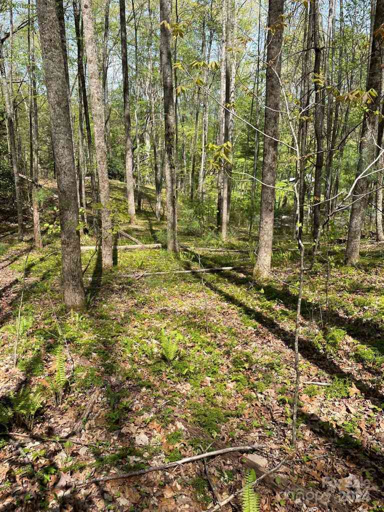 0000 Cawood Lane, Clyde, North Carolina image 6