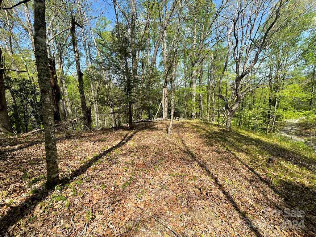 0000 Cawood Lane, Clyde, North Carolina image 11