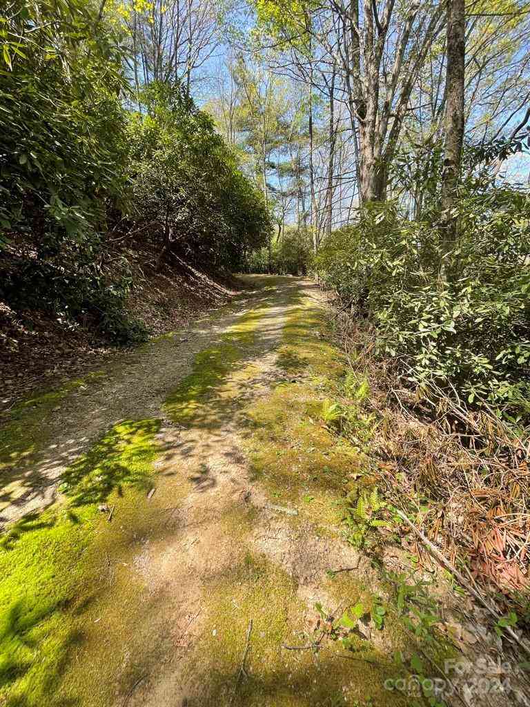 0000 Cawood Lane, Clyde, North Carolina image 4