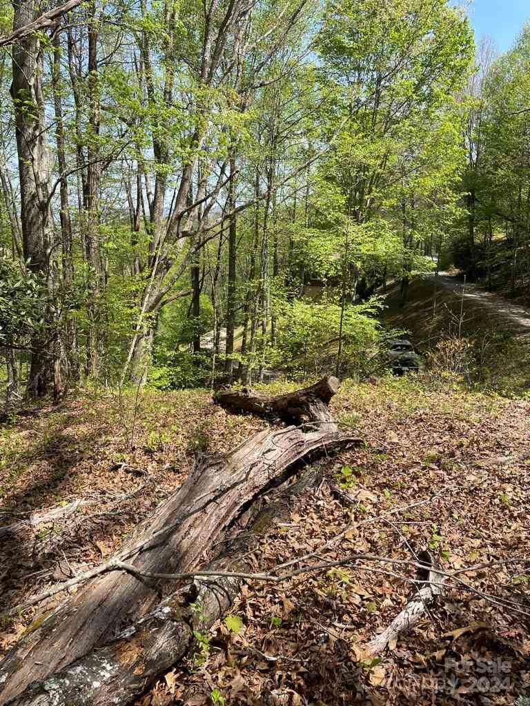 0000 Cawood Lane, Clyde, North Carolina image 13