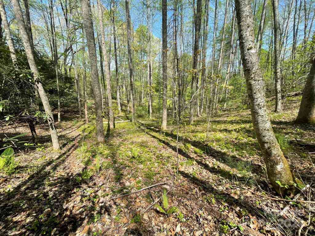 0000 Cawood Lane, Clyde, North Carolina image 10