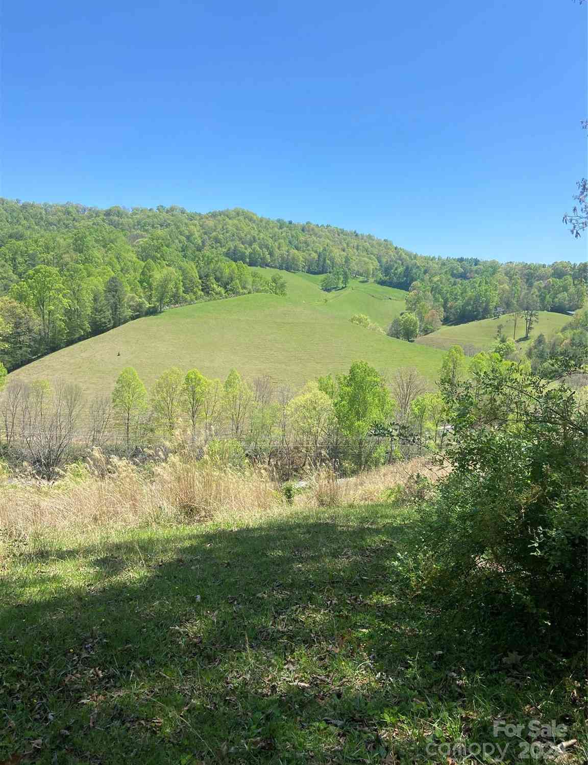 117 & 283 East Fork Road, Marshall, North Carolina image 31