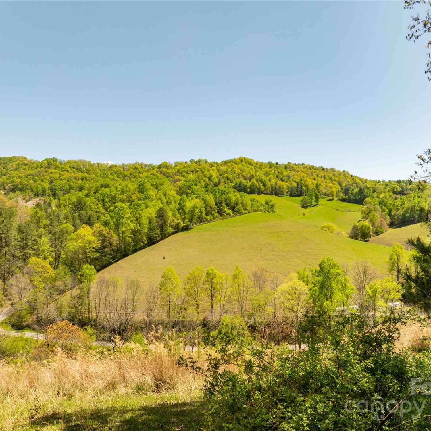 117 & 283 East Fork Road, Marshall, North Carolina image 5