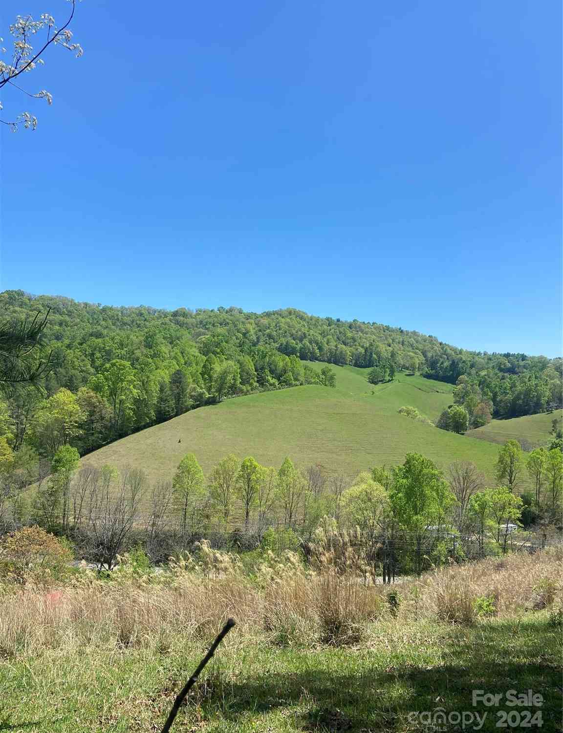 117 & 283 East Fork Road, Marshall, North Carolina image 38