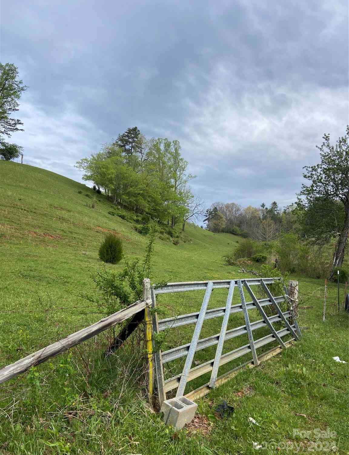 117 & 283 East Fork Road, Marshall, North Carolina image 41