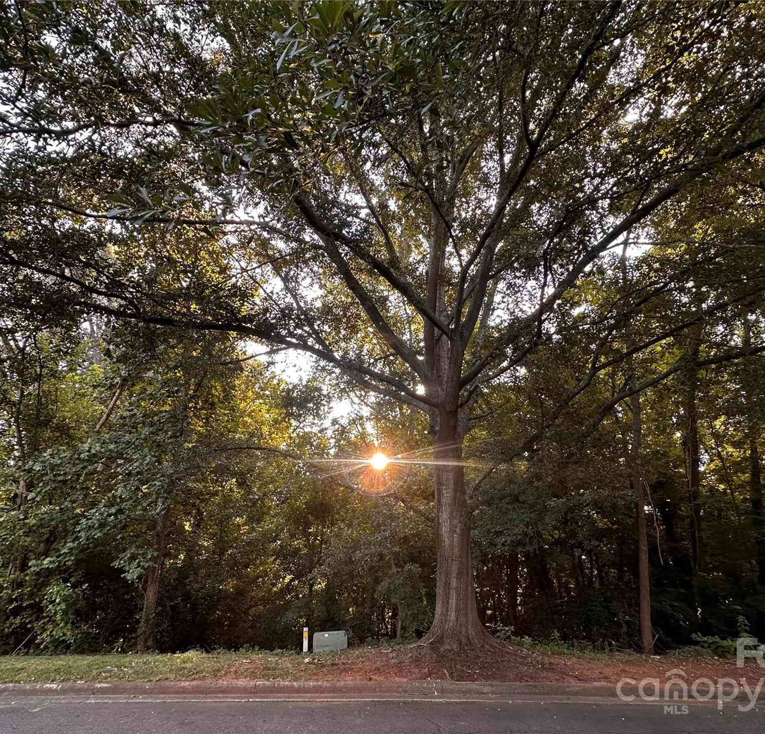 950 18th Avenue Circle, Hickory, North Carolina image 3