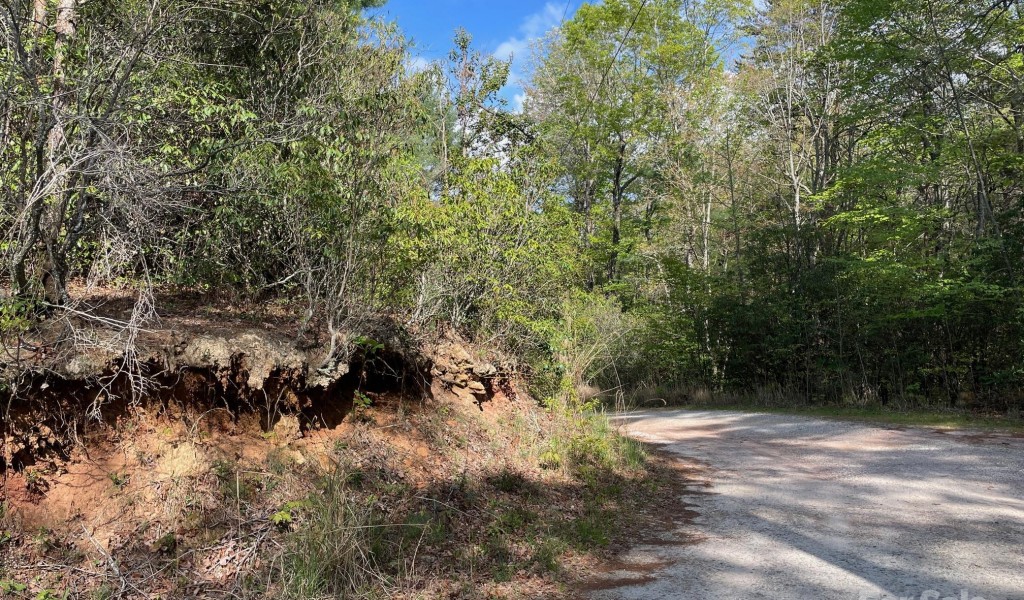 TBD Flat Ridge Road, Lake Toxaway, North Carolina image 5