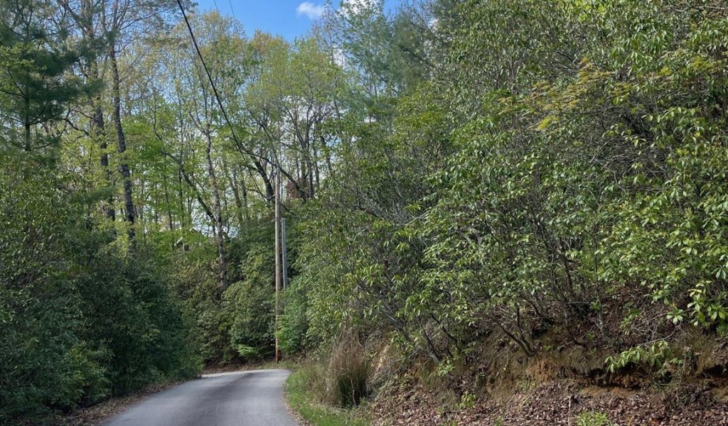 TBD Flat Ridge Road, Lake Toxaway, North Carolina image 8