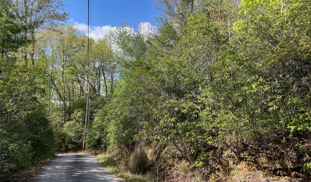 TBD Flat Ridge Road, Lake Toxaway, North Carolina image 6