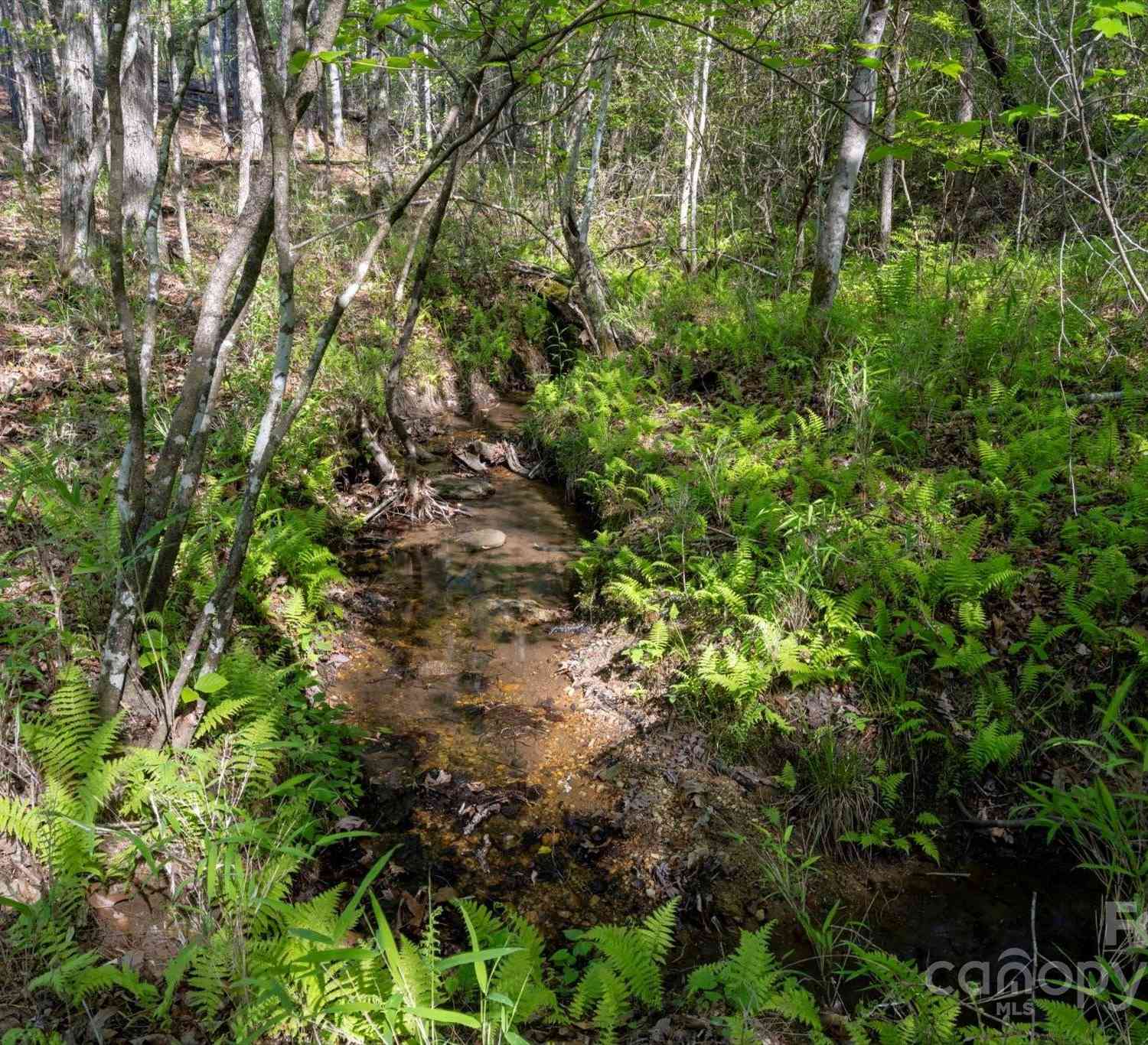 99999 Shady Bark Lane #41, Rutherfordton, North Carolina image 4