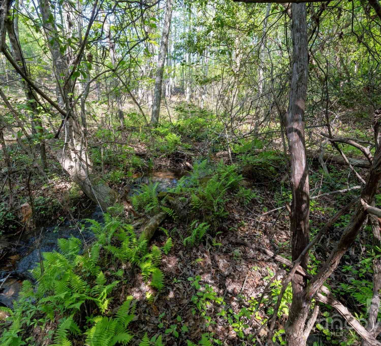 99999 Shady Bark Lane #41, Rutherfordton, North Carolina image 7