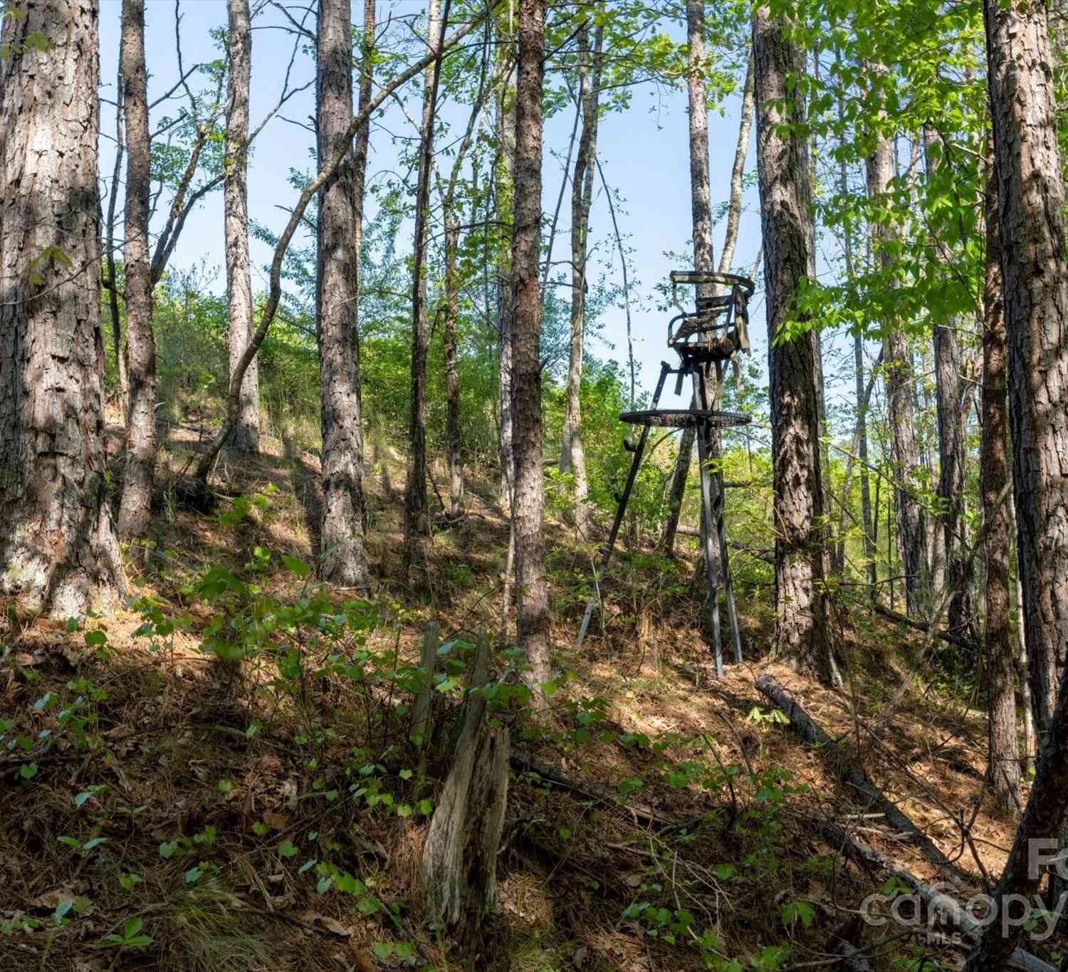 99999 Shady Bark Lane #41, Rutherfordton, North Carolina image 23