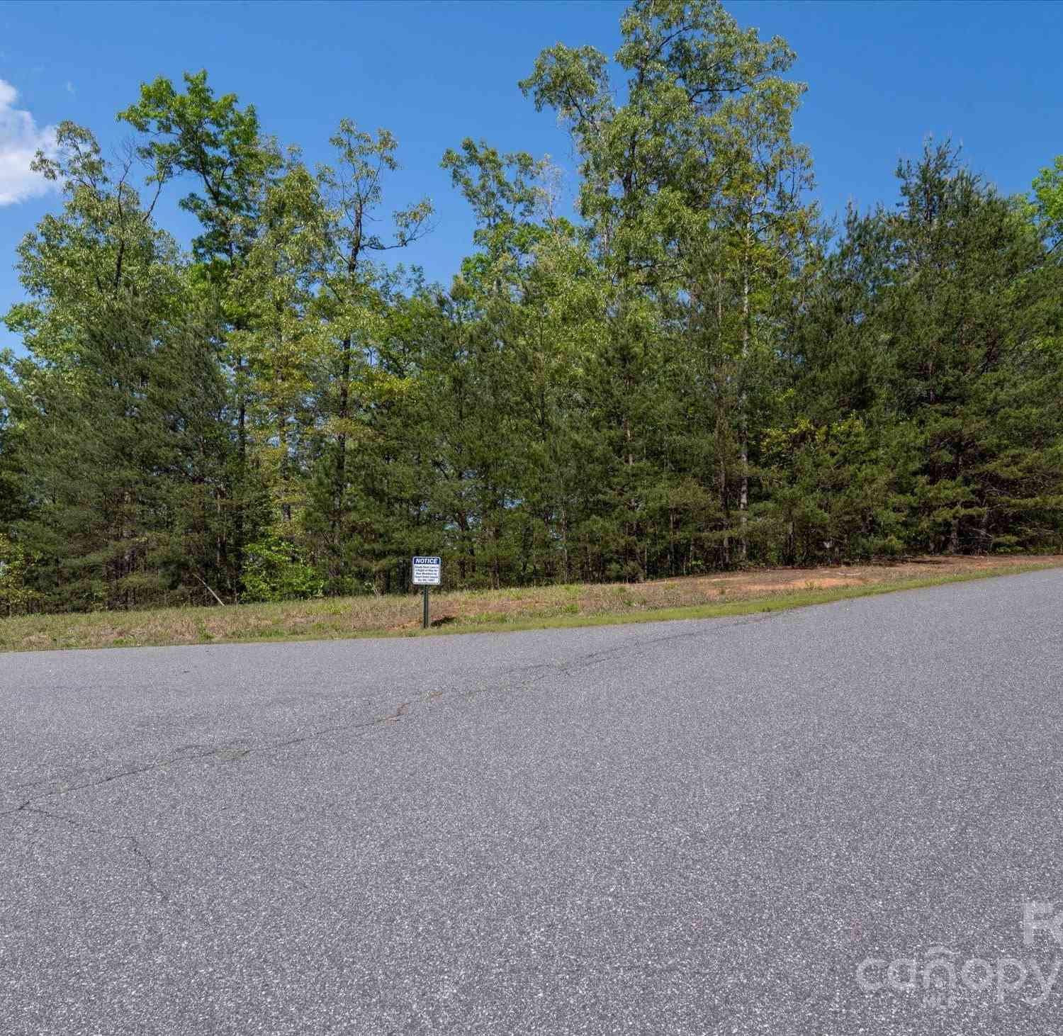 99999 Shady Bark Lane #41, Rutherfordton, North Carolina image 8