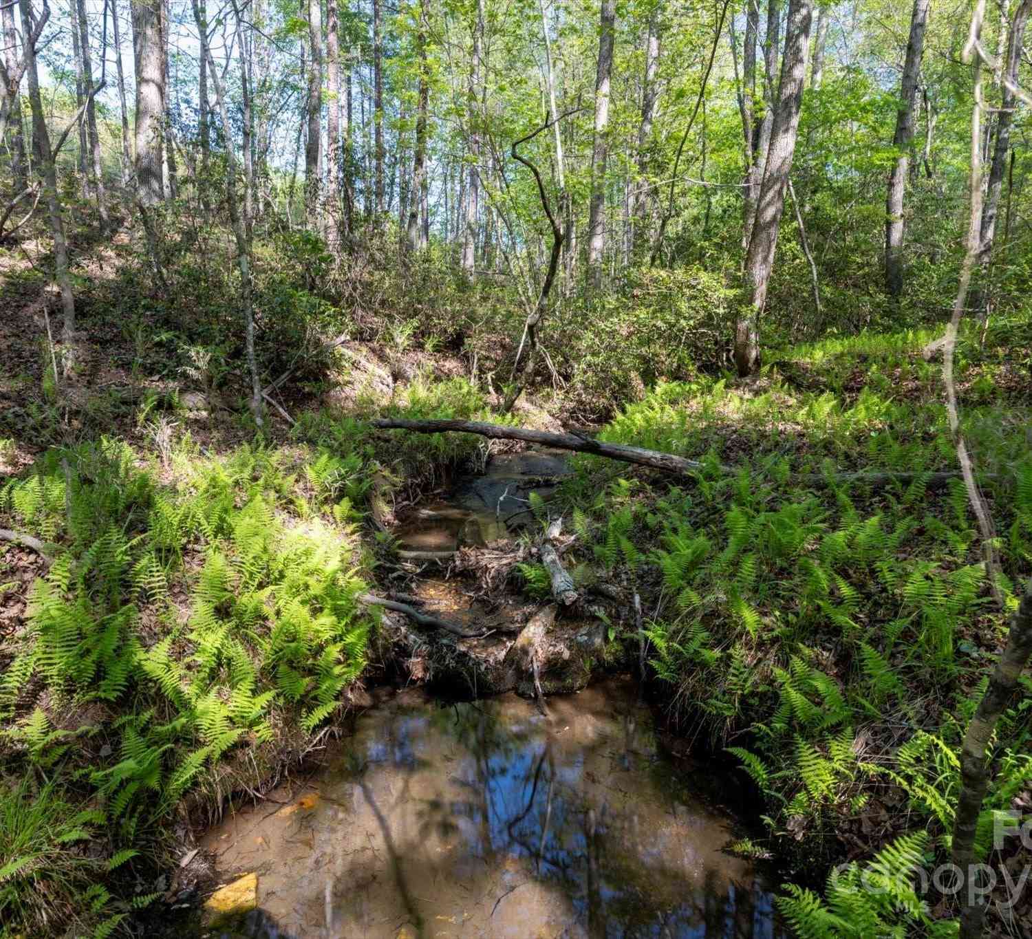 99999 Shady Bark Lane #41, Rutherfordton, North Carolina image 3