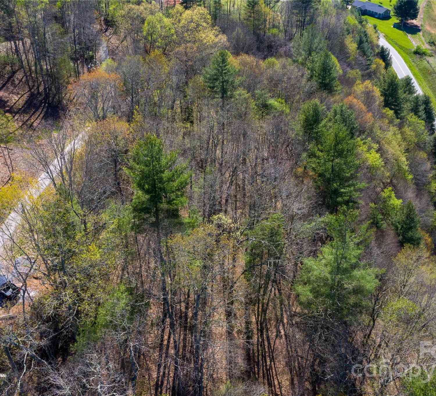 000 Arrowhead Lane, Burnsville, North Carolina image 4