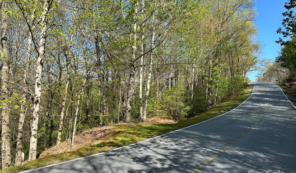 TBD Hawk Mountain Road #30, Lake Toxaway, North Carolina image 7