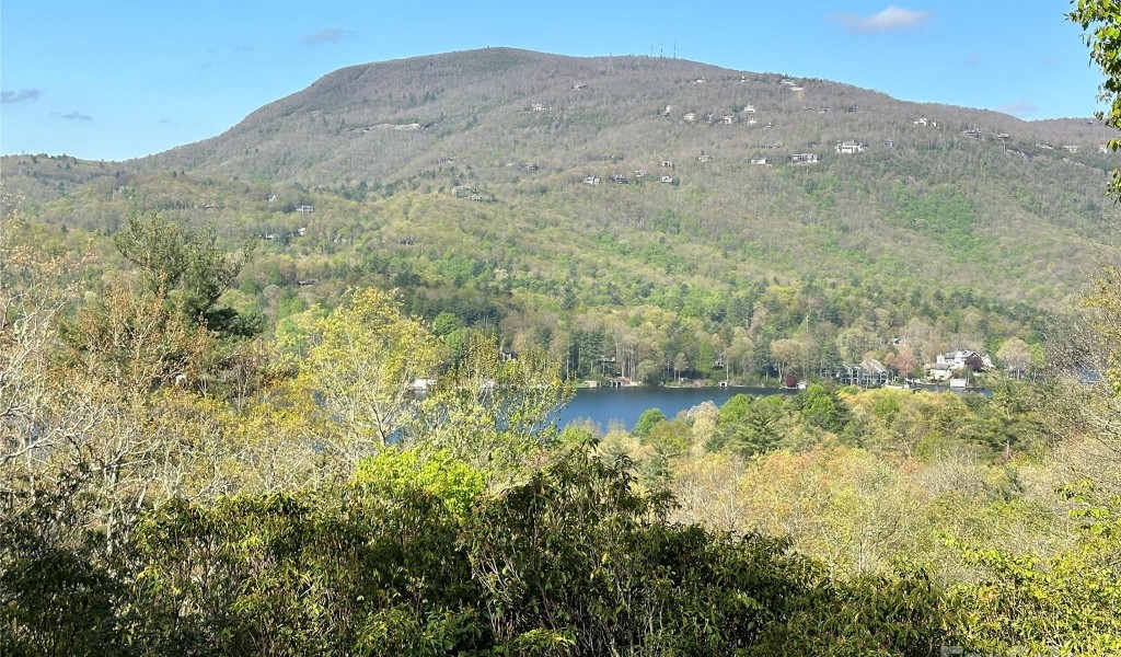 TBD Hawk Mountain Road #30, Lake Toxaway, North Carolina image 2